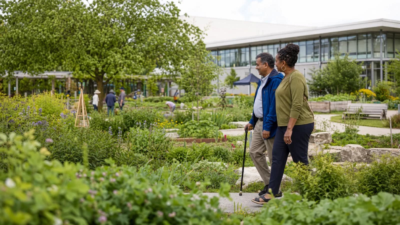 Two middle-aged adults walk in profile through a Toronto community garden, one using a cane, during a calm conversation.